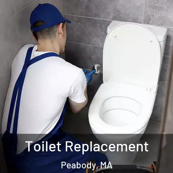  Toilet Replacement Peabody, MA